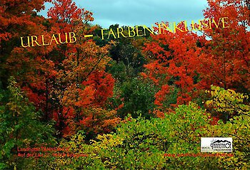 Wandern im Goldenen Herbst im Land Hotel Tannenhof ***S in Spiegelau Bayerischer Wald Bayern